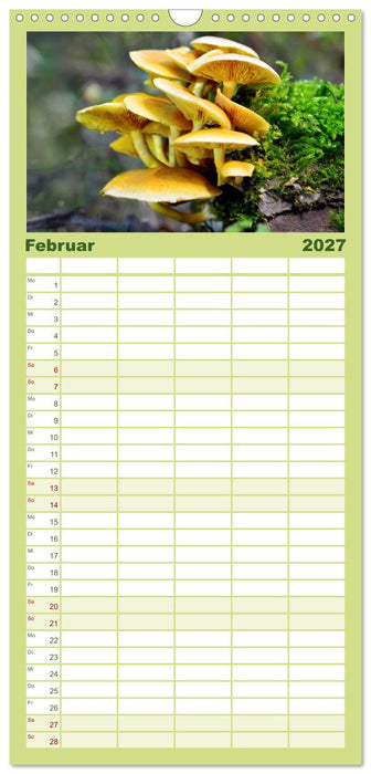 Schwammerl Egerlinge Pilze (CALVENDO Familienplaner 2027)