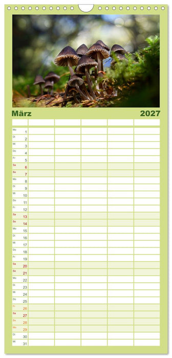 Schwammerl Egerlinge Pilze (CALVENDO Familienplaner 2027)