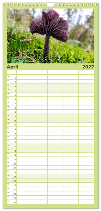 Schwammerl Egerlinge Pilze (CALVENDO Familienplaner 2027)