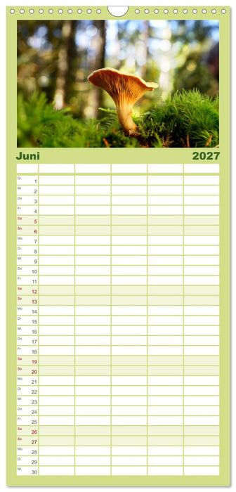 Schwammerl Egerlinge Pilze (CALVENDO Familienplaner 2027)