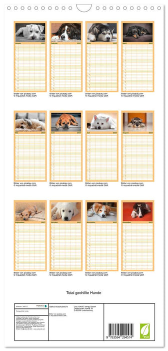 Total gechillte Hunde (CALVENDO Familienplaner 2027)