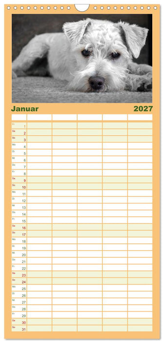 Total gechillte Hunde (CALVENDO Familienplaner 2027)