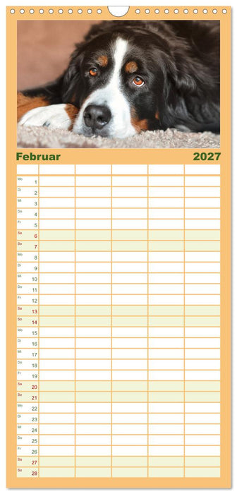 Total gechillte Hunde (CALVENDO Familienplaner 2027)