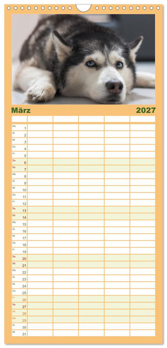 Total gechillte Hunde (CALVENDO Familienplaner 2027)