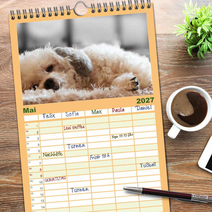 Total gechillte Hunde (CALVENDO Familienplaner 2027)