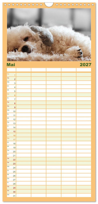 Total gechillte Hunde (CALVENDO Familienplaner 2027)