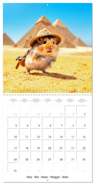 Whiskertrip -Travelling the world with a hamster (CALVENDO Monthly Calendar 2027)