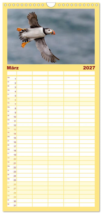 Papageientaucher - Farbenfrohe Flieger der Natur (CALVENDO Familienplaner 2027)