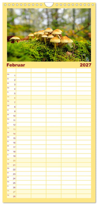 Fantastische Pilzwelten (CALVENDO Familienplaner 2027)