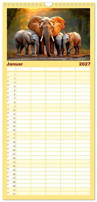 Elefanten - Riesen der Wildnis (CALVENDO Familienplaner 2027)