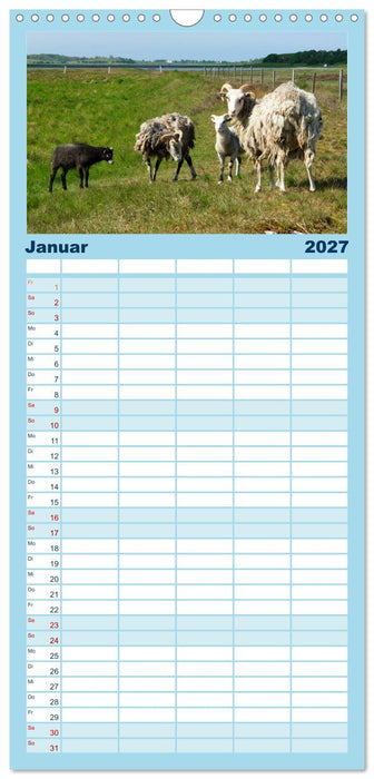 Samsö die dänische Trauminsel im Kattegat (CALVENDO Familienplaner 2027)