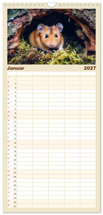 Wild und flauschig - Hamster - Abenteuer in freier Natur (CALVENDO Familienplaner 2027)