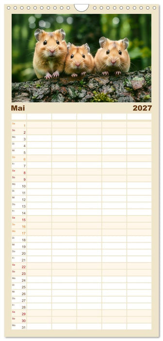 Wild und flauschig - Hamster - Abenteuer in freier Natur (CALVENDO Familienplaner 2027)