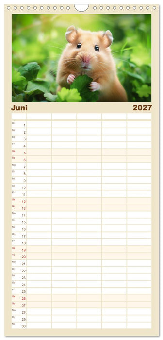Wild und flauschig - Hamster - Abenteuer in freier Natur (CALVENDO Familienplaner 2027)