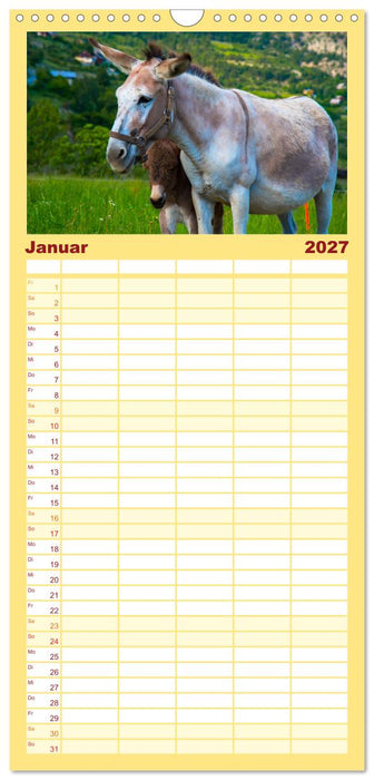 Liebenswerte Esel (CALVENDO Familienplaner 2027)