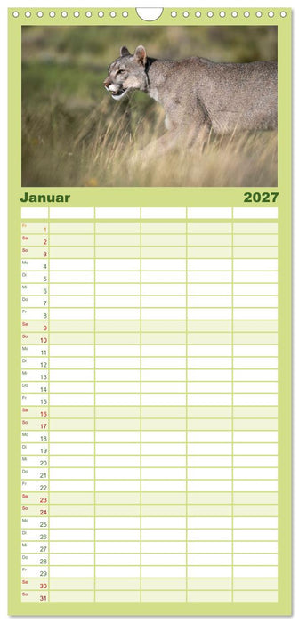 Wildlife Südamerika (CALVENDO Familienplaner 2027)
