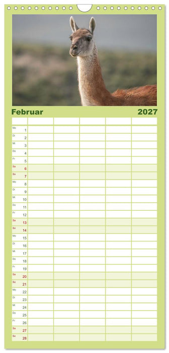 Wildlife Südamerika (CALVENDO Familienplaner 2027)