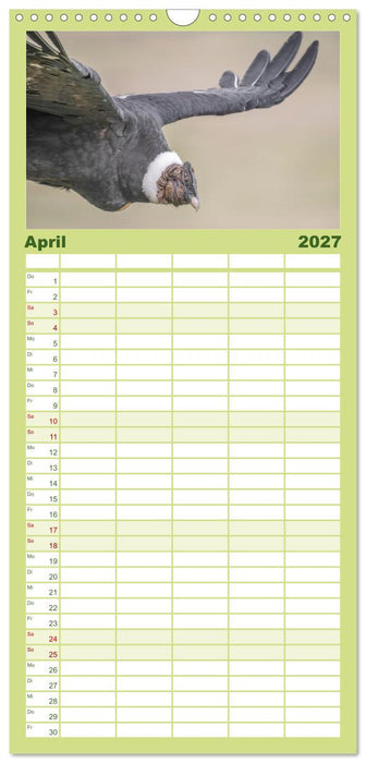 Wildlife Südamerika (CALVENDO Familienplaner 2027)