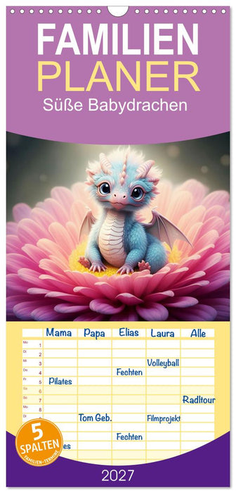 Süße Babydrachen (CALVENDO Familienplaner 2027)