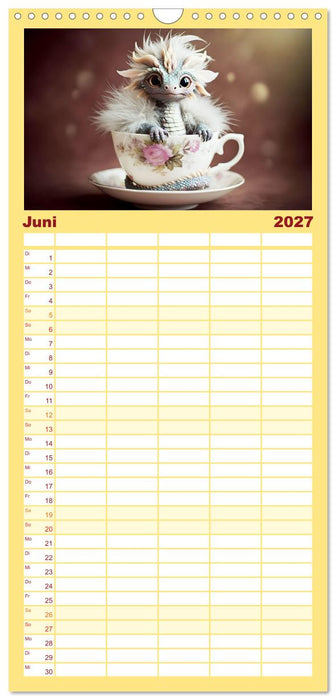 Süße Babydrachen (CALVENDO Familienplaner 2027)