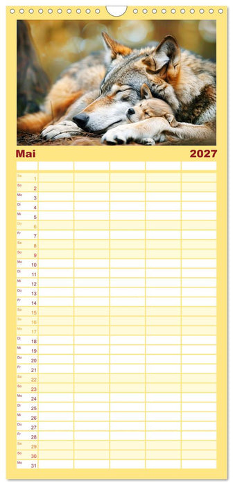 Die wilden Hunde (CALVENDO Familienplaner 2027)