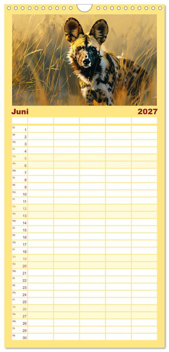 Die wilden Hunde (CALVENDO Familienplaner 2027)