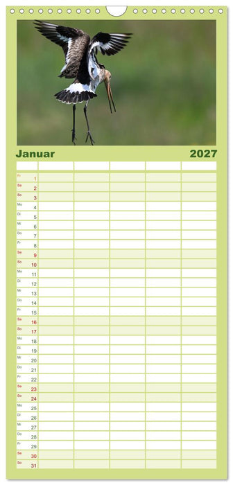 Die bedrohten Uferschnepfen (CALVENDO Familienplaner 2027)