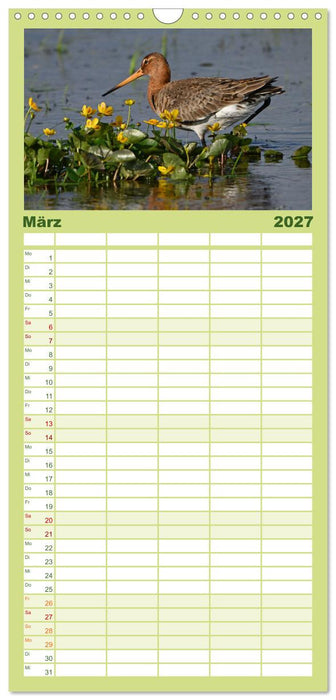 Die bedrohten Uferschnepfen (CALVENDO Familienplaner 2027)