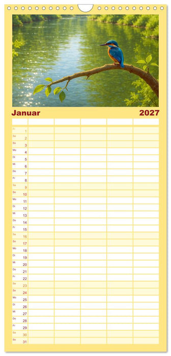 Eisvogelträume am Wasser (CALVENDO Familienplaner 2027)