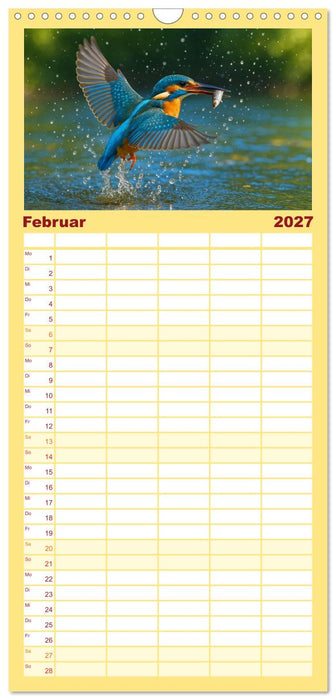 Eisvogelträume am Wasser (CALVENDO Familienplaner 2027)