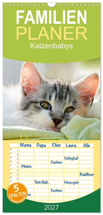 Katzenbabys (CALVENDO Familienplaner 2027)