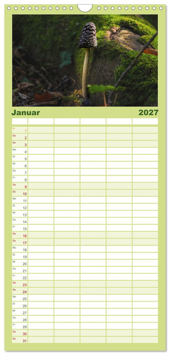 Wundersame Pilzwelten (CALVENDO Familienplaner 2027)