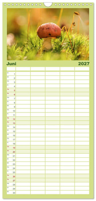 Wundersame Pilzwelten (CALVENDO Familienplaner 2027)