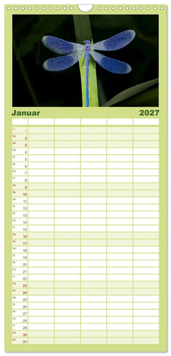 Naturwunder Libellen (CALVENDO Familienplaner 2027)
