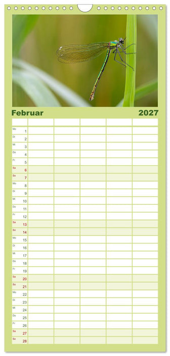Naturwunder Libellen (CALVENDO Familienplaner 2027)