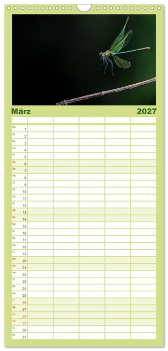 Naturwunder Libellen (CALVENDO Familienplaner 2027)