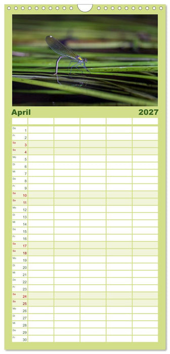Naturwunder Libellen (CALVENDO Familienplaner 2027)