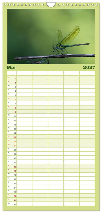 Naturwunder Libellen (CALVENDO Familienplaner 2027)