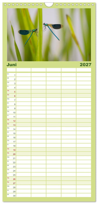 Naturwunder Libellen (CALVENDO Familienplaner 2027)