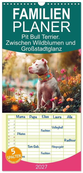 Pit Bull Terrier. Zwischen Wildblumen und Großstadtglanz (CALVENDO Familienplaner 2027)