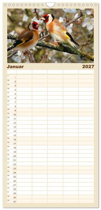 Deutschlands Finken (CALVENDO Familienplaner 2027)