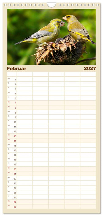 Deutschlands Finken (CALVENDO Familienplaner 2027)