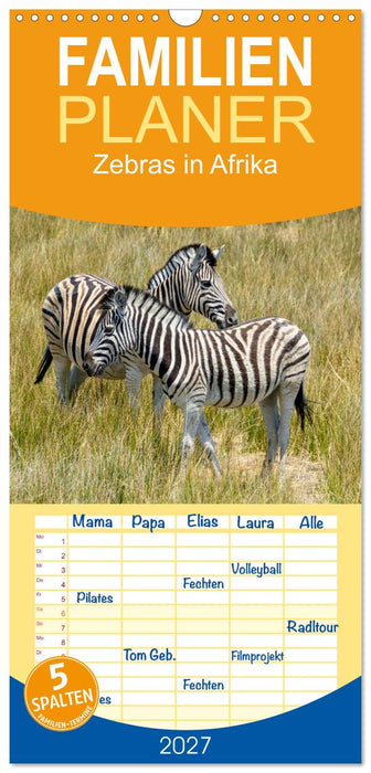 Zebras in Afrika (CALVENDO Familienplaner 2027)