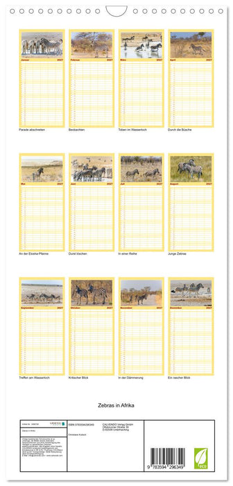 Zebras in Afrika (CALVENDO Familienplaner 2027)