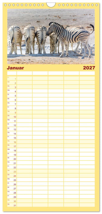 Zebras in Afrika (CALVENDO Familienplaner 2027)