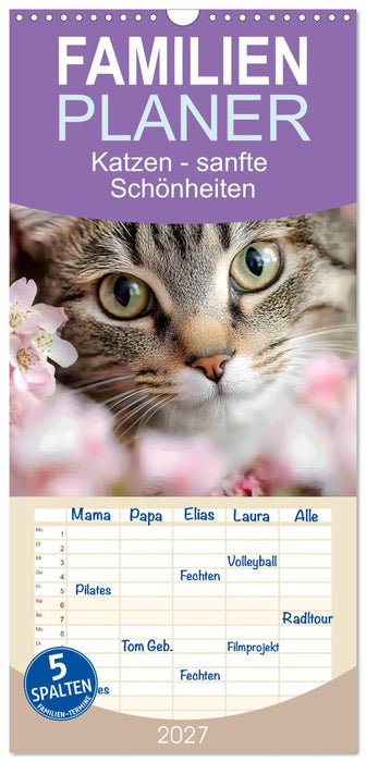 Katzen - sanfte Schönheiten (CALVENDO Familienplaner 2027)