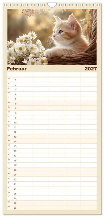 Katzen - sanfte Schönheiten (CALVENDO Familienplaner 2027)