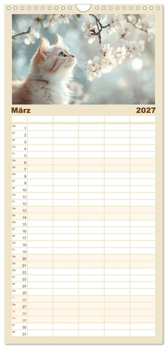 Katzen - sanfte Schönheiten (CALVENDO Familienplaner 2027)