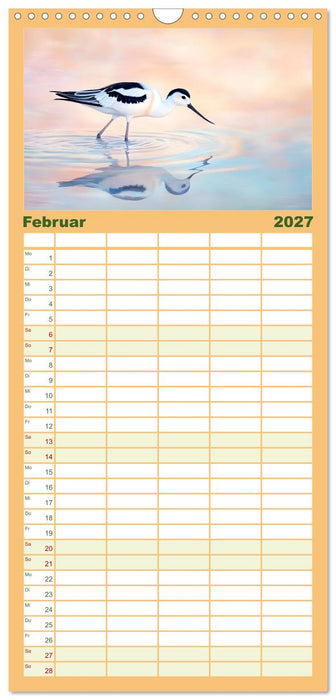 Zwischen Himmel und Wasser (CALVENDO Familienplaner 2027)