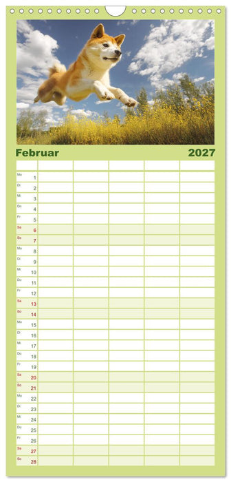 Akita Inu in der Natur. Japans edle und sanfte Schönheit (CALVENDO Familienplaner 2027)